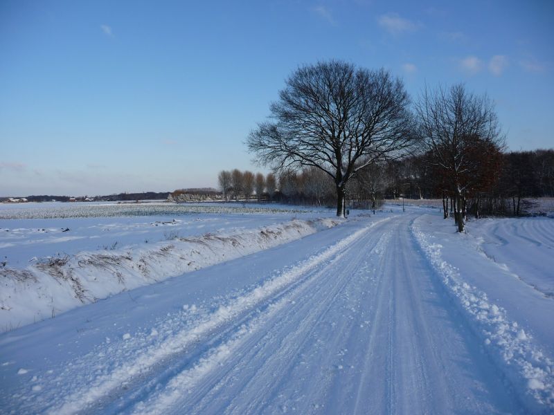 P1000665a.jpg