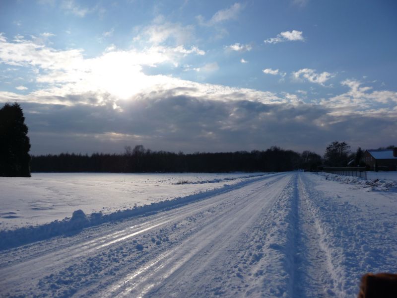 P1000656a.jpg