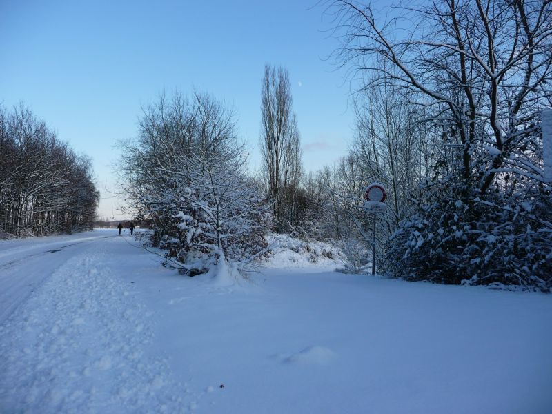 P1000651a.jpg