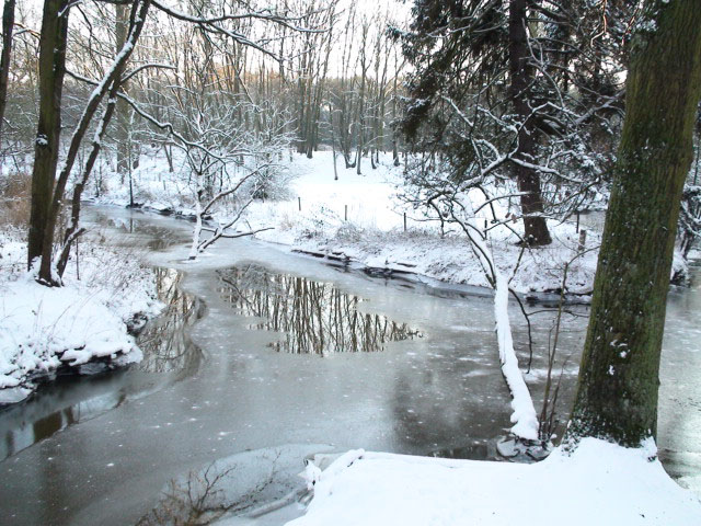 Leudal_winter_1.jpg