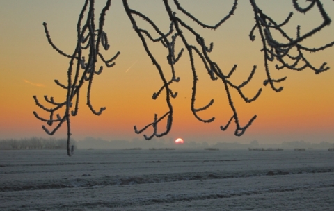 20090109_klein.jpg