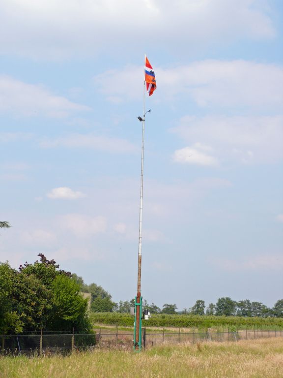 Mast.jpg