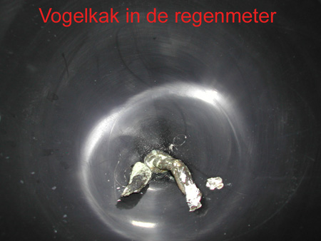 vogelkakinregenmeter.jpg