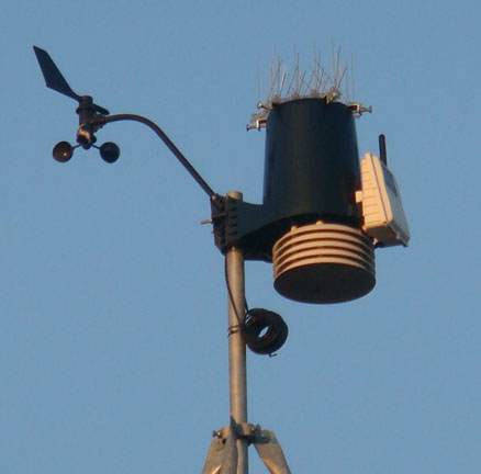 112007birdproof.jpg