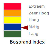 bosbrandgevaar.jpg