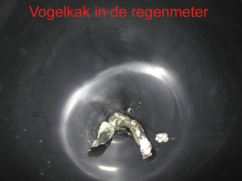 vogelkakinregenmeter-b11e570c739acc26980b37bb19b404dd.jpg