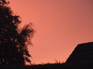 DSCF0179.JPG