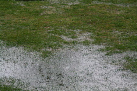 regen_20_8.jpg