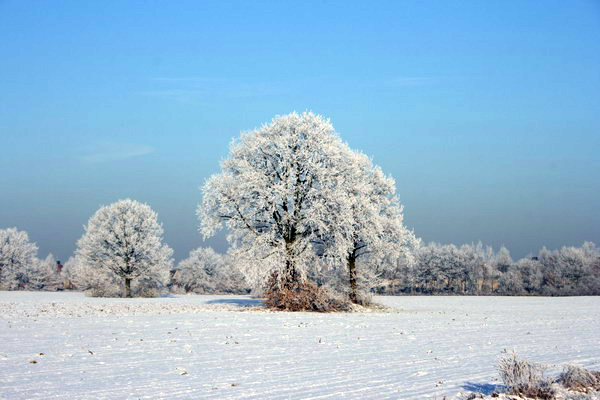 img4584a.jpg