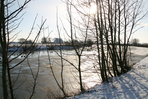 winter_03_01_2010.jpg