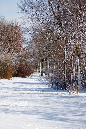 park.jpg