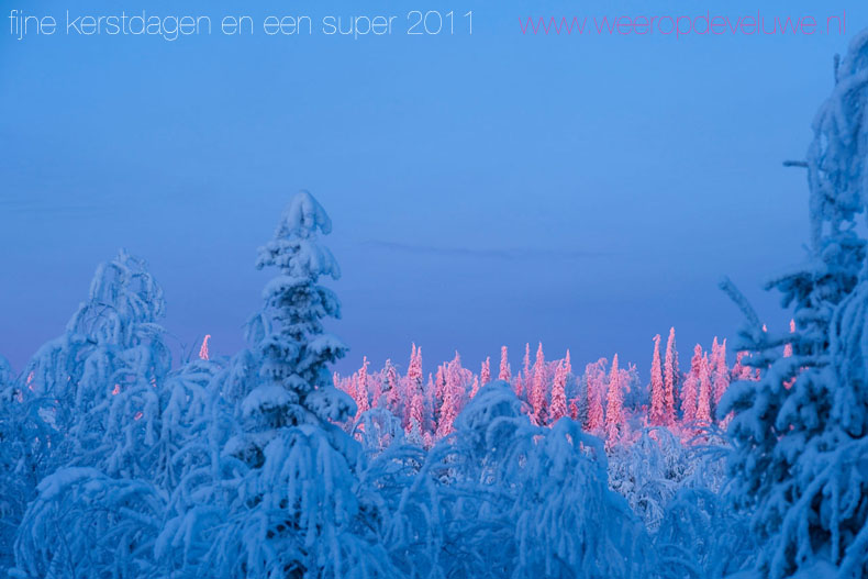 FGW_kerstkaart.jpg