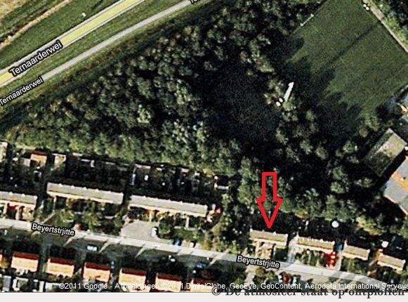 bomen.jpg