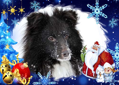 Kerst.jpg