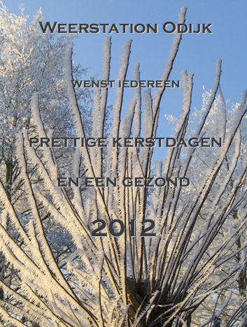 Kerstkaart_2012.jpg