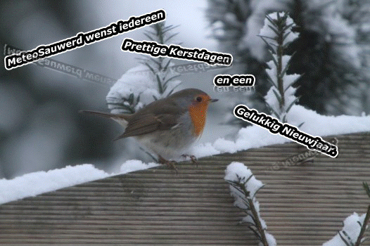 kerst1.gif