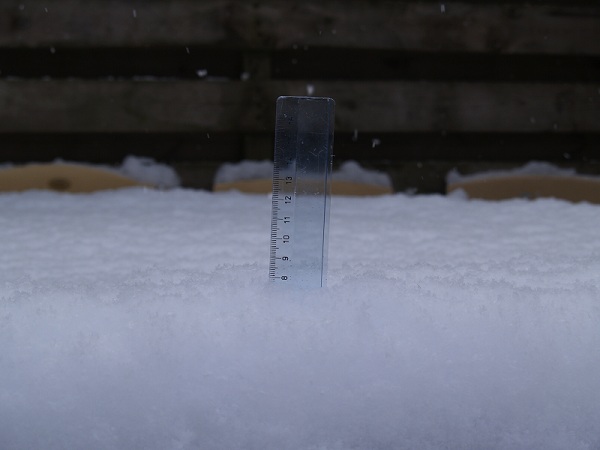8cm.jpg