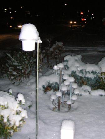 DSCN2554.JPG