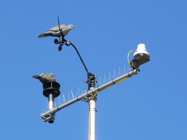P1020746.JPG