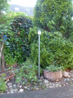 P1010329__244x325_.jpg