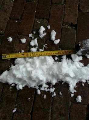 sneeuw___kopie.JPG