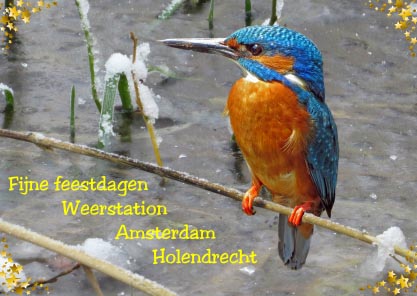 kerstkaart2a.jpg