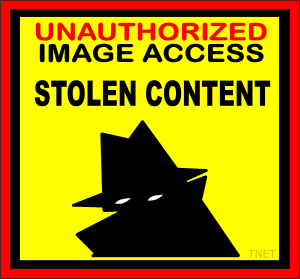 UN_stolen.gif