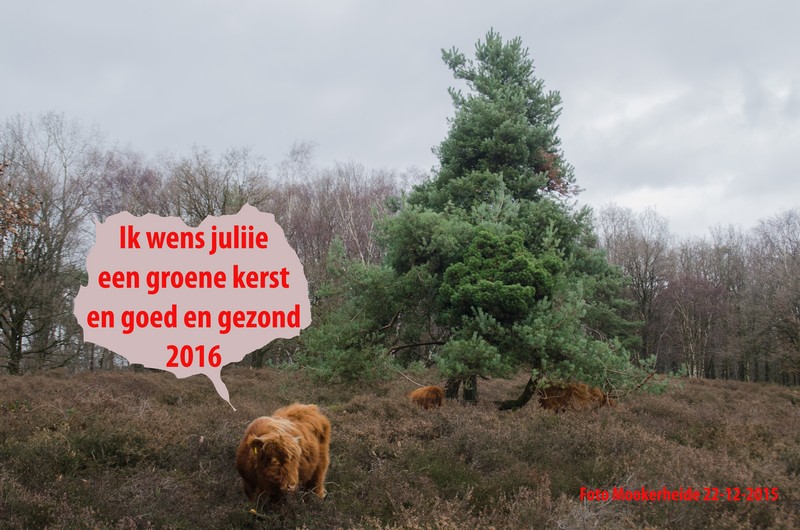 kerst_2015_2016_02.jpg