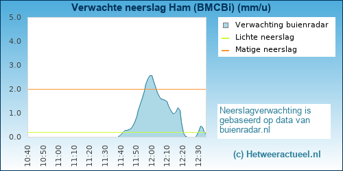 neerslag verwachting Ham (BMCBi)