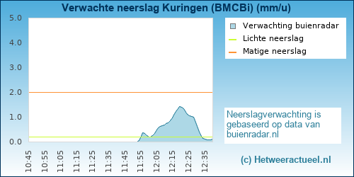 neerslag verwachting Kuringen (BMCBi)