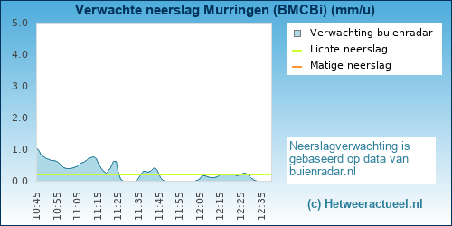 neerslag verwachting Murringen (BMCBi)