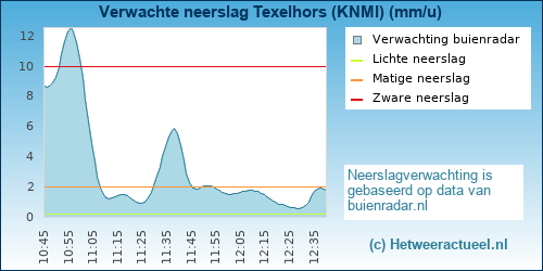 neerslag verwachting Texelhors (KNMI)