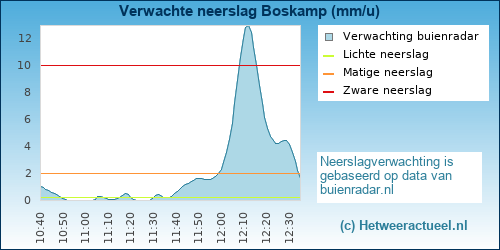 neerslag verwachting Boskamp (Olst)