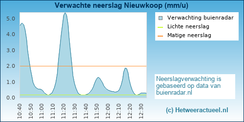 neerslag verwachting Nieuwkoop (Zuidhoek)