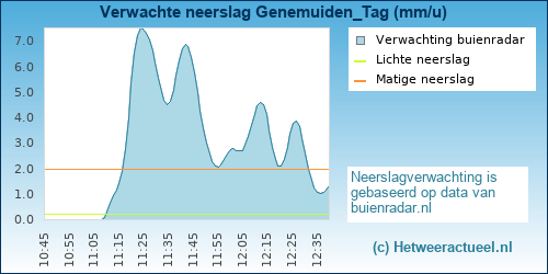 neerslag verwachting Genemuiden_Tag