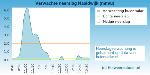 neerslag verwachting Naaldwijk (Centrum)
