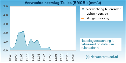 neerslag verwachting Tailles (BMCBi)