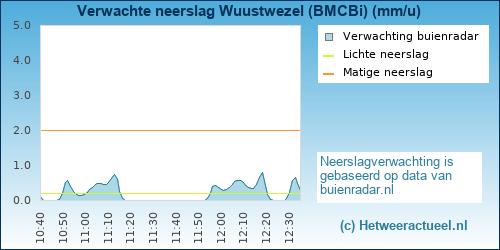 neerslag verwachting Wuustwezel (BMCBi)